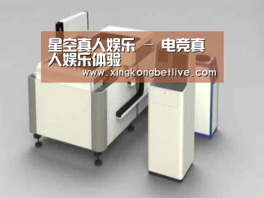 产品名称十五