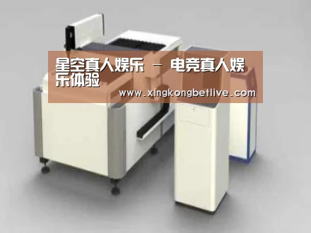 产品名称十三