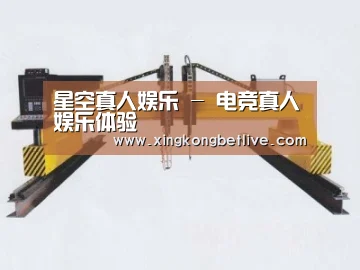 产品名称十九