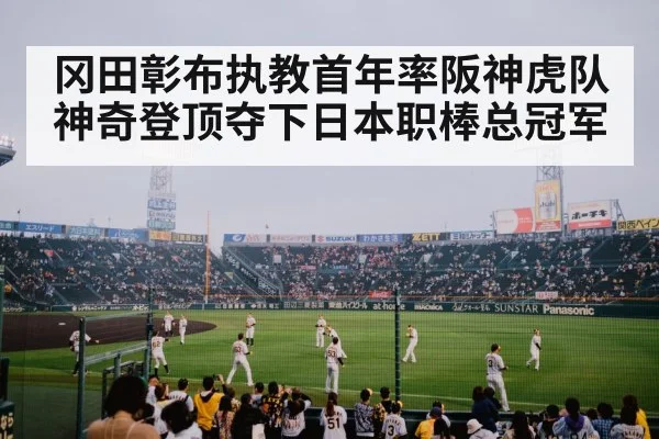 Hanshin Tigers championship celebration