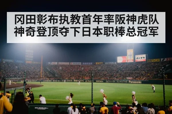 Koshien stadium crowd