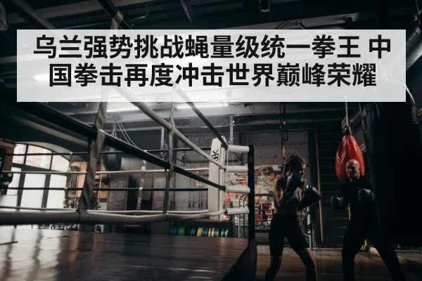 boxer training