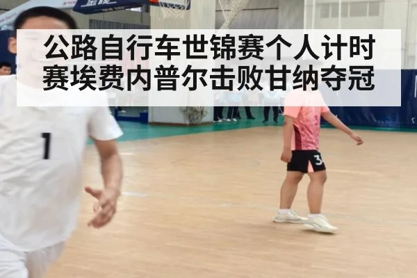 公路自行车世锦赛个人计时赛埃费内普尔击败甘纳夺冠