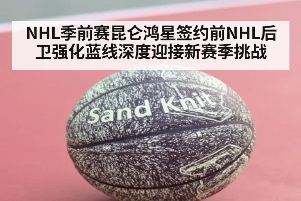 NHL季前赛昆仑鸿星签约前NHL后卫强化蓝线深度迎接新赛季挑战