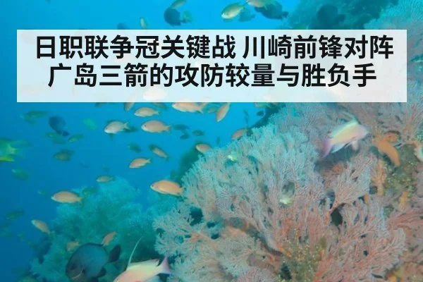 日职联争冠关键战 川崎前锋对阵广岛三箭的攻防较量与胜负手