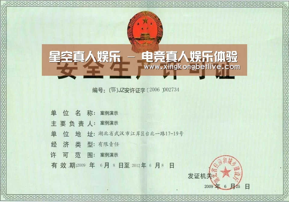 荣誉证书三(图1)